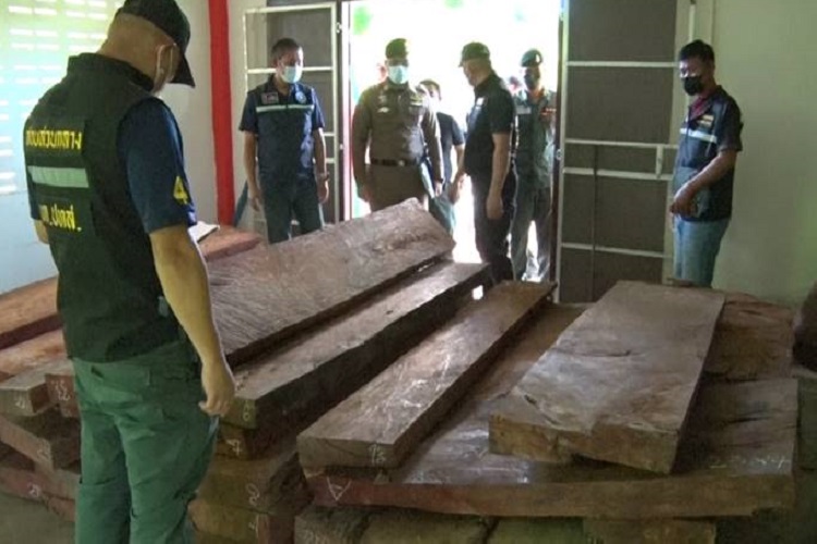 ตำรวจ ปทส. ยึดไม้ประดู่ 70 แผ่น ของขบวนการค้าไม้ข้ามชาติ