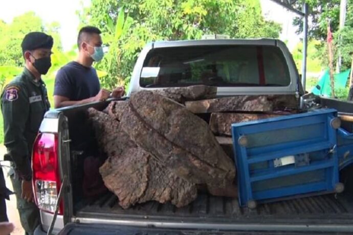 ตำรวจ ปทส. ยึดไม้ประดู่ 70 แผ่น ของขบวนการค้าไม้ข้ามชาติ